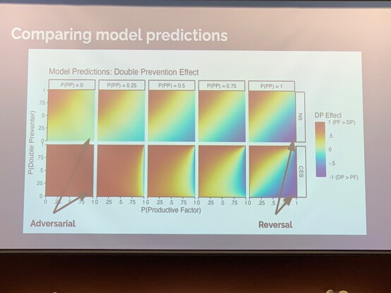 Model predictions