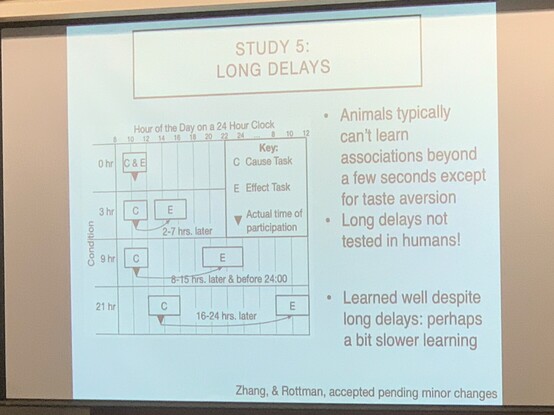 Study 5 results