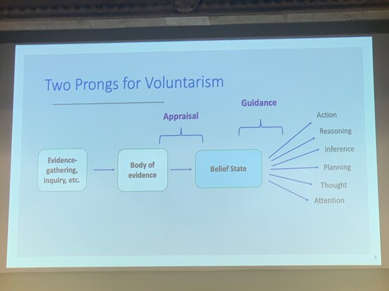 Part of the belief-forming pipeline.