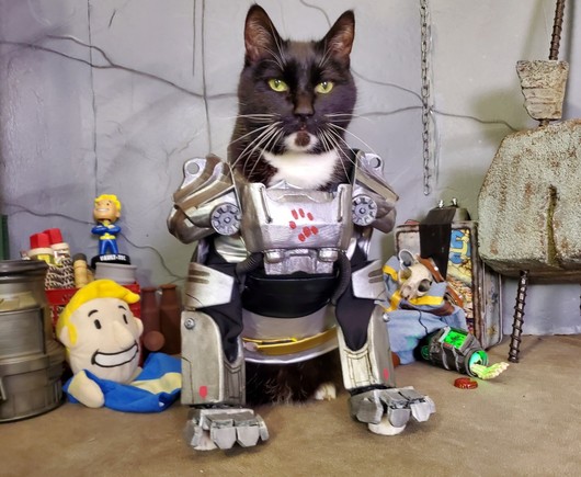 A cat wearing the Brotherhood of Steel T-60 power armor from Fallout