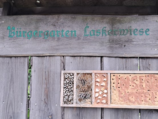 Holzschild mit Aufschrift "Bürgergarten Laskerwiese" mit angeschraubtem "Wildbienenhotel"