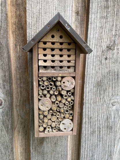 Gut gefülltes Insektenhotel/ the insect hotel is almost full