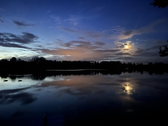 Twilight scene with a bright moon over a calm lake reflecting the moon and clouds, with dark silhouettes of trees and two swans on the water.