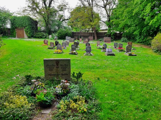 Im Vordergrund ein größeres Familiengrab, dahinter ein Grabfeld mit kleinen Urnengräbern.