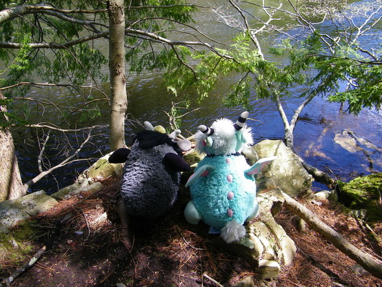 Two plush toys on a rocky ledge next to a river. One is grey and black, the other light blue-green with pink and white accents. Both of them have wings and horns.