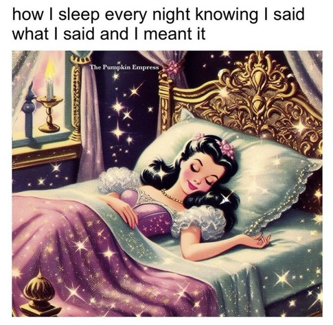 how I sleep every night knowing I said what I said and I meant it 

A cartoon of a sleeping girl in princess clothes 