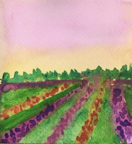 Watercolor flower field 