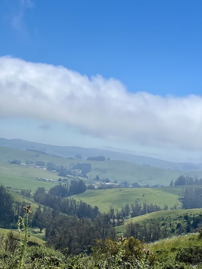 Landscape looking southwest of western Sonoma County, rolling green hills, blue sky with white clouds in the distance, hanging over the coast