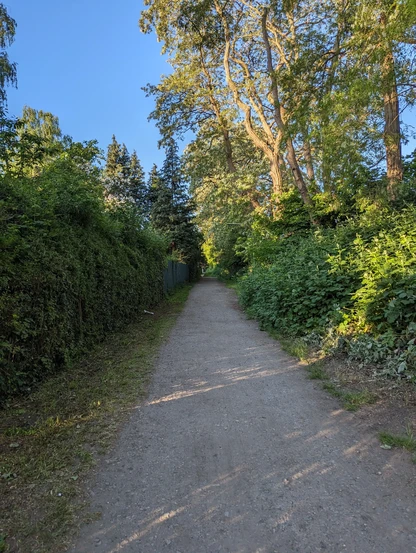Ein Fußweg mit Schotter und Erde als Boden, links und rechts davon sonnendurchflutetes Gebüsch / Hecken / Bäume. Der Horizont ist nicht sichtbar.