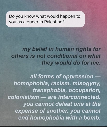 Do you know what would happen to you as a queer in Palestine? my belief in human rights for others is not conditional on what they would do for me. all forms of oppression — homophobia, racism, misogyny, transphobia, occupation, colonialism - are interconnected. you cannot defeat one at the expense of another. you cannot end homophobia with a bomb.