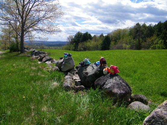 A collection of colorful plush toys on a stone fence atop a hill in Maine in an orchard. In the background is Mount Agamenticus.