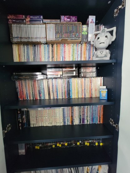 Inside of bookcase with lots of Doctor Who books and Big Finish CDs