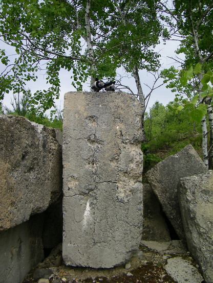 Two mini plush goats atop a stone monument.