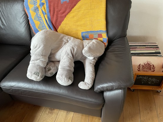 Großer Kuschelelefant liegt auf einem Sofa. Er liegt schlaff auf der Seite mit dem Ohr über dem Auge. 