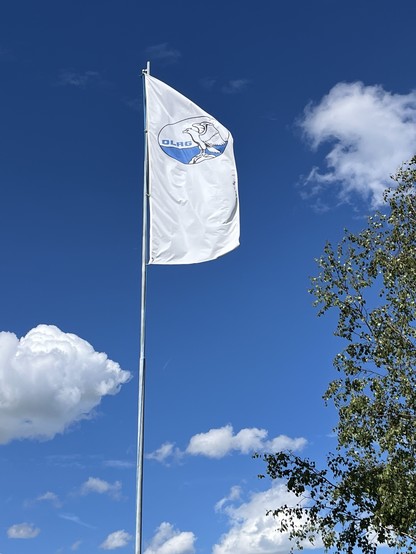 A white flag with the DLRG logo flies on a tall flagpole against a blue sky with few clouds. There is a tree partially visible on the right side.