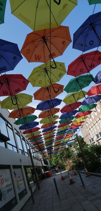 Many colourful umbrellas have been strung up to form a kind of roof. This is outside the University of Liverpool where the conference is taking place.