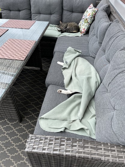 Sofa auf dem zwei Katzen liegen. Eine liegt zusammengerollt auf einer Decke, die andere quer unter einer Decke und nur die Pfoten sind zu sehen.