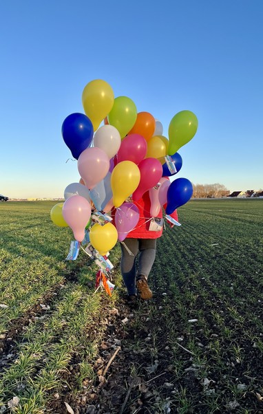 A person walking in a field, holding a large bunch of colorful balloons.