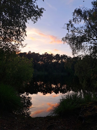 Der rosa Abendhimmel spiegelt sich im stillen Wasser vom See. Bäume umrahmen das Bild  