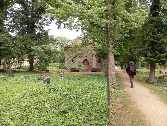 Historischer Friedhof des Doms
