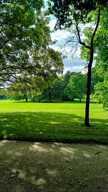Foto von einem Stadt Park. Eine Wiese mit einer Bauminsel