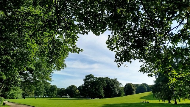 Ein grüner Park mit einer großen Wiese. Im Hintergrund uns um das Bild herum sind die grünen Blätter der Bäume zu sehen. Der Himmel ist leicht mit Wolken bedeckt trotzdem sonnig