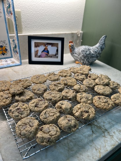3 dozen chocolate chip cookies on a cooling rack on a kitchen counter 
