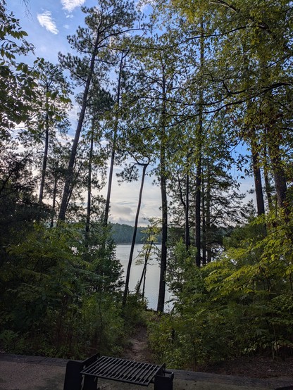 view of lake through trees at campground