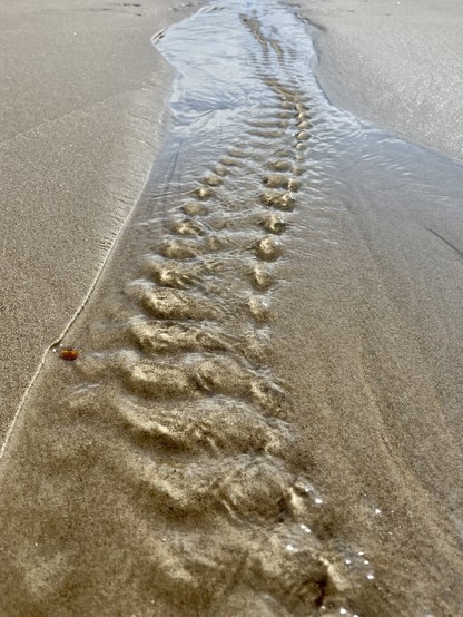 A trail pattern in wet sand left by flowing water, likely on a beach.