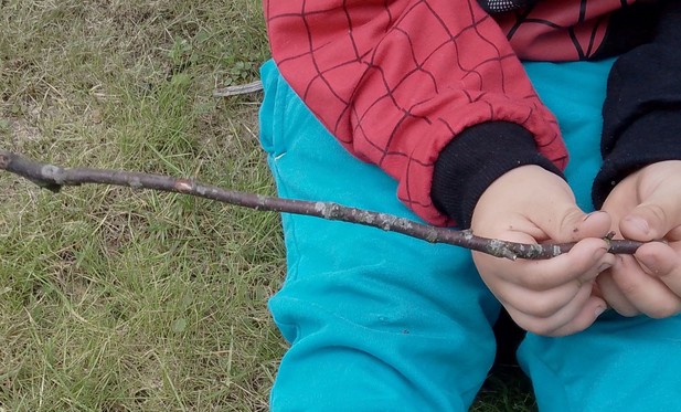 A three year old child holding a small stick while sitting on the ground.  

Sorry it is not just a stick. It is  a magic wand, a light saber, a firehose, a sword.

The list goes on. 