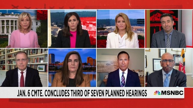 MSNBC screenshot: screen divided up by 8 windows, one for each contributing panelist. 