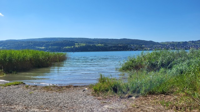 Ein Kiesstrand, eingegrenzt von Schilf. Ein Zugang zum See. Das gegenüber liegende Ufer ist ein sanfter Bergrücken.
Der Himmel ist fast wolkenlos blau.