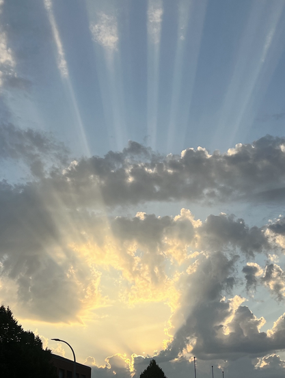 Die eben aufgegangene Sonne wird durch lockere Wolken so verdeckt, daß einzelne Strahlen zu sehen sind 