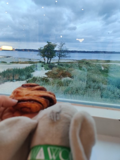 Mastodönchen (Plüschelefant mit VVoid camp Bändchen um den Hals) schaut nach draußen auf den Strand, daneben ein Franzbrötchen