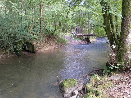 Wanderweg und Brücke am Eifgenbach