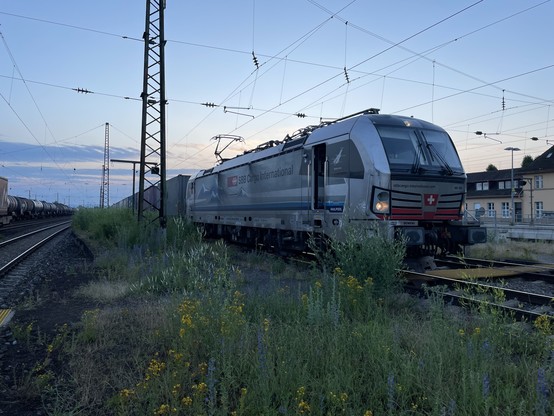 Silberne Baureihe 193 der SBB steht in Mannheim-Friedrichsfeld bereit zur Abfahrt in Richtung Schwetzingen.

Die Uhrzeit ist früher morgen, etwa 5 Uhr.