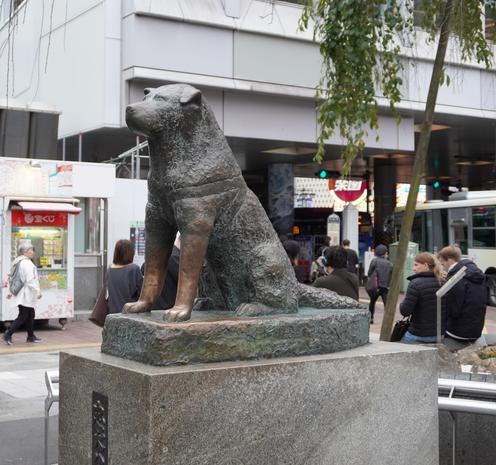 Statue des Hundes Hachiko