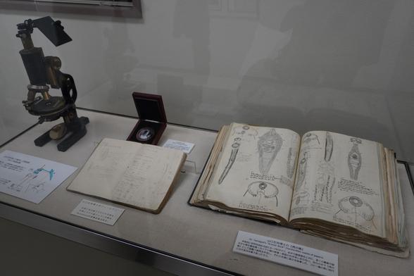 Exponat Forschung an Parasiten im Museum.