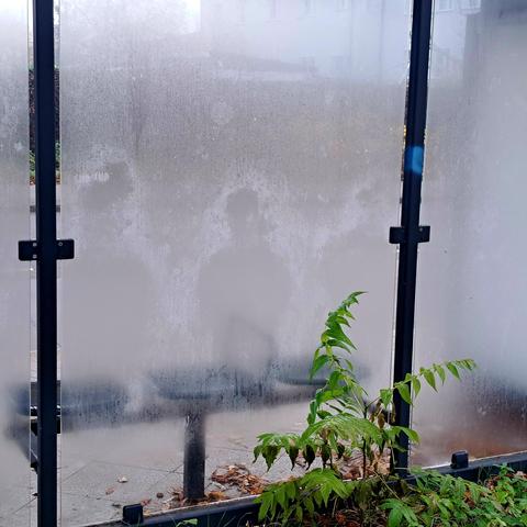 In die vom Nebel beschlagene Scheibe der Bushaltestelle sind die Silouhetten von drei Personen, die hier mal saßen "eingebrannt"