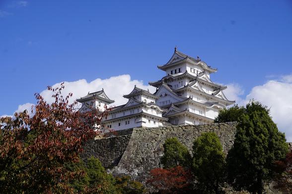 Blick auf den Burgfried vom Park in den unteren Burganlagen aus