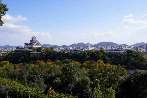 Blick vom nahen Hügel auf die Burganlage