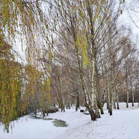 Frischer Schnee auf Wegen & Wiese und zugefrorenen Heidekampgraben
