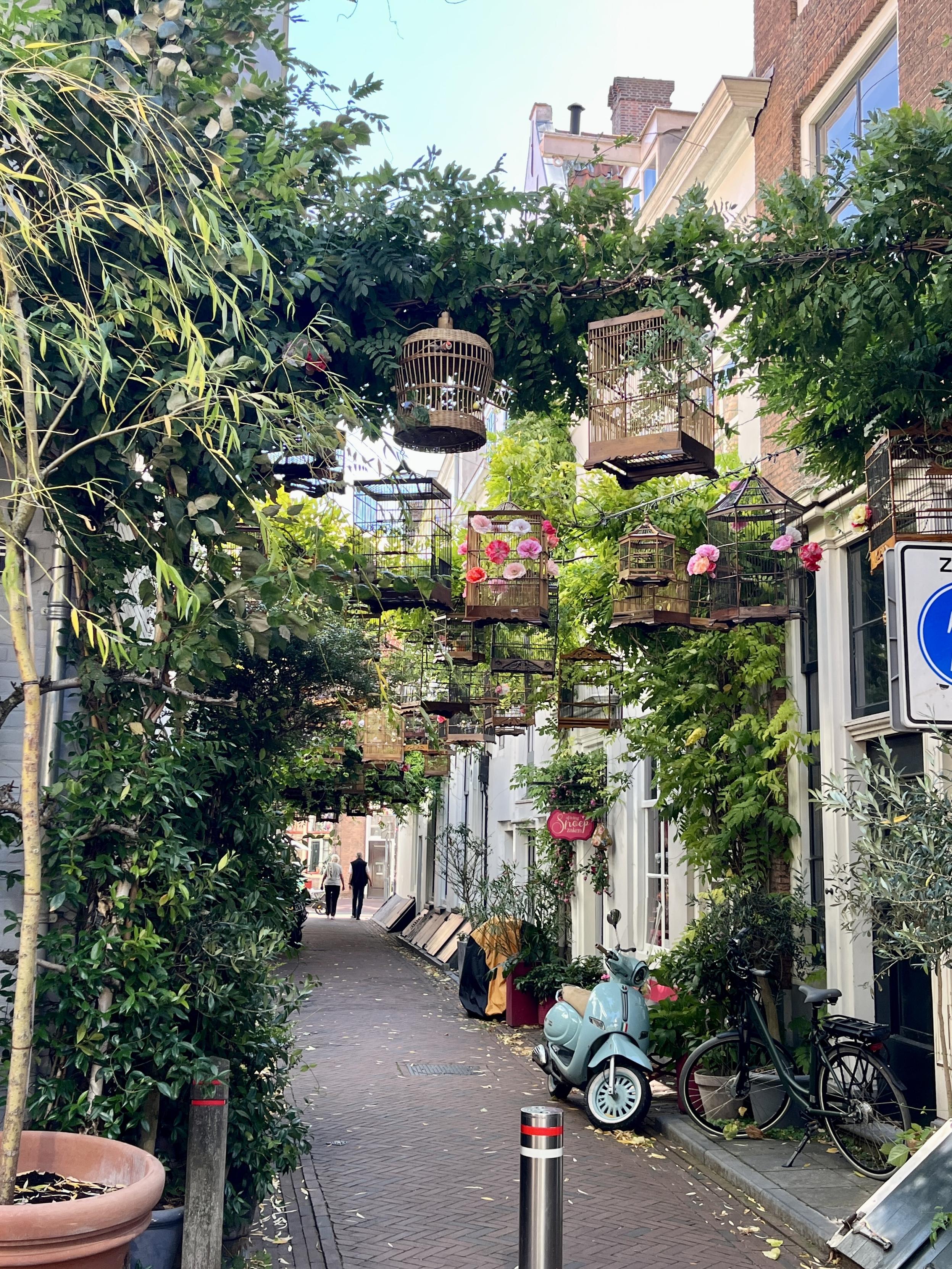 A narrow, tree-lined alley adorned with hanging birdcages and colorful flowers. Two people are seen walking in the distance, and bicycles are parked along the sides, with a vintage blue scooter also present. The scene is vibrant and inviting, emphasizing greenery