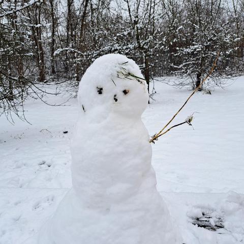 Schneemann in schneelandschaft