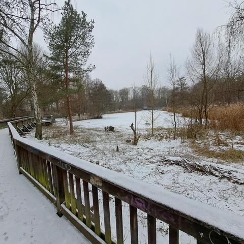 Holzsteg am zugefrorenen Teich in der Hasenheide