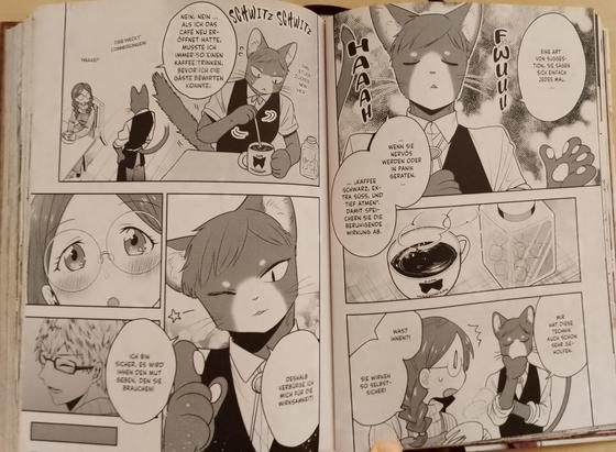 Doppelseite aus dem Buch